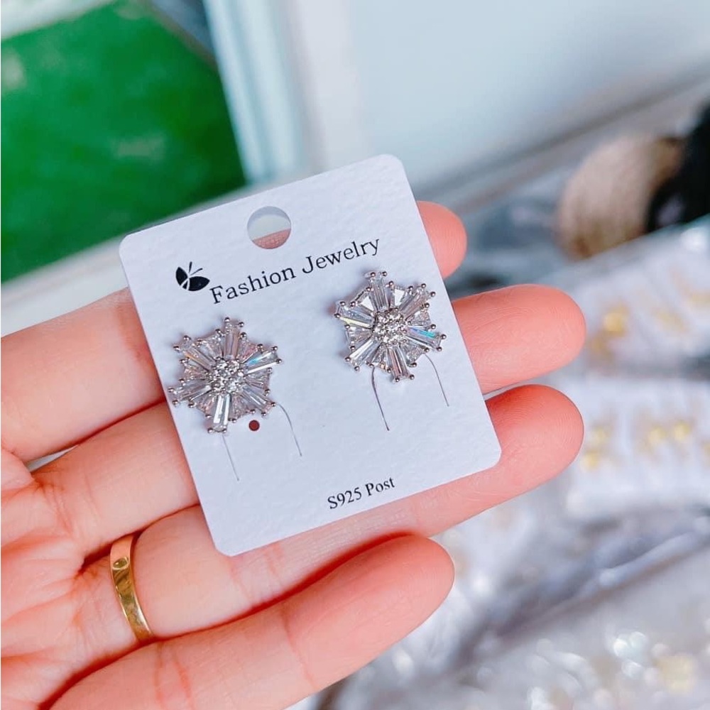 S925 Stering Silver Earrings